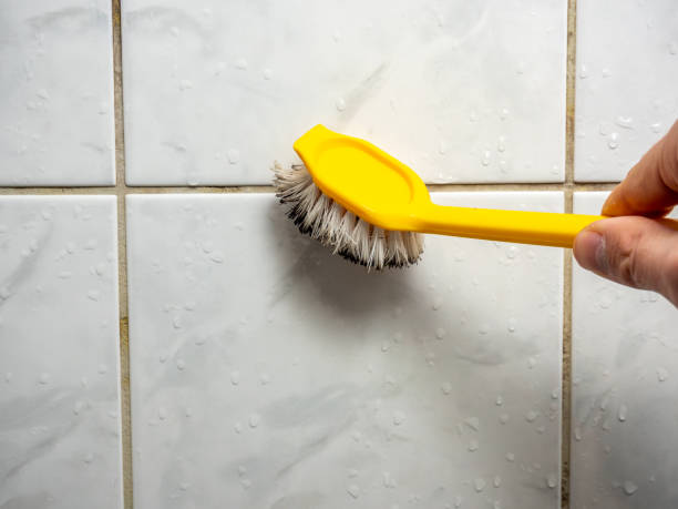 Best Emergency Mold Remediation in Sand Lake, MI