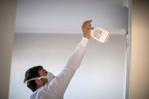 Best Kitchen Mold Remediation in Sand Lake, MI